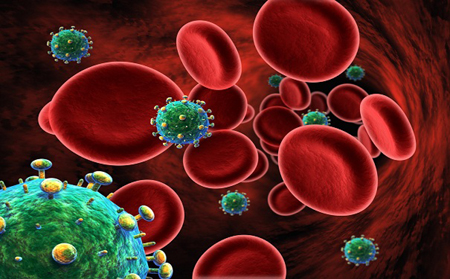 Phát hiện nơi trú ẩn của virus HIV trong tế bào